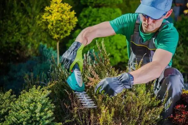 landscaping services Peninsula